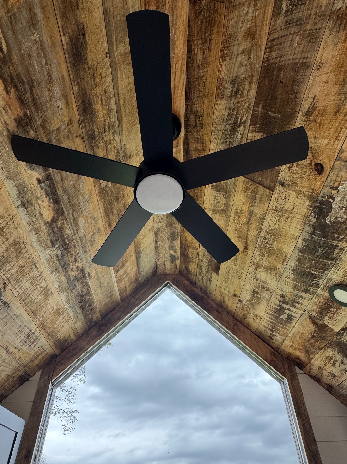 The Deluxe -Backyard POD (All Options)